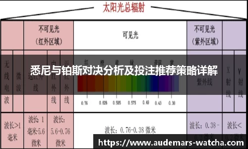 悉尼与铂斯对决分析及投注推荐策略详解